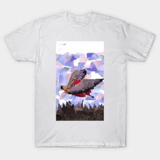 A Falling Angel T-Shirt